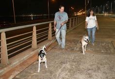 Foto de la galería: Centro, costa y Botánico: paseos de fin de semana que coparon disfrute en la ciudad