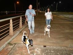 Foto de la galería: Centro, costa y Botánico: paseos de fin de semana que coparon disfrute en la ciudad