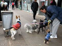 Foto de la galería: Actividades varias y otras vueltas: marcha el mes con el ritmo en la ciudad