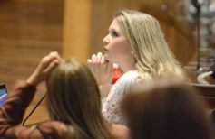 Foto de la galería: Legislatura: música misionera y transporte sustentable, entre las nuevas leyes aprobadas