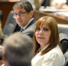 Foto de la galería: Legislatura: música misionera y transporte sustentable, entre las nuevas leyes aprobadas