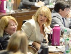 Foto de la galería: Legislatura: música misionera y transporte sustentable, entre las nuevas leyes aprobadas