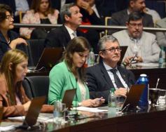 Foto de la galería: Legislatura: música misionera y transporte sustentable, entre las nuevas leyes aprobadas