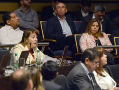 Foto de la galería: Legislatura: música misionera y transporte sustentable, entre las nuevas leyes aprobadas