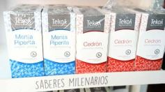 Foto de la galería: Congreso de Horticultura: más de 500 profesionales del pais y la región se reunieron en la ciudad