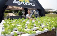 Foto de la galería: Congreso de Horticultura: más de 500 profesionales del pais y la región se reunieron en la ciudad