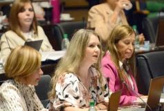 Foto de la galería: La Cámara de Diputados creó  la Fiscalia de Ciberdelitos en Misiones