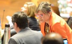 Foto de la galería: Legislatura Provincial: entre las leyes sancionadas se creó el Parlamento de Educación Disruptiva