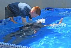Foto de la galería: Especial domingo de bautismo y culto en la Iglesia Bautista Victoria de Posadas