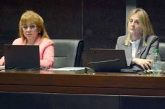 Foto de la galería: Legislatura Misionera: crearon un consultorio odontológico para personas con discapacidad