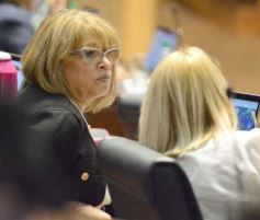 Foto de la galería: La Cámara de Diputados de Misiones aprobó la Ley de Presupuesto 2025