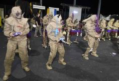 Foto de la galería: Show de Scolas: la fiesta de los estudiantes bajó el telón pero la alegria sigue en las fotos