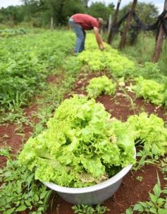 Foto de la galería: Visita a Concepción de la Sierra: la Escuela 623 ya brinda la red Starlink a sus estudiantes