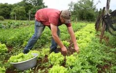 Foto de la galería: Visita a Concepción de la Sierra: la Escuela 623 ya brinda la red Starlink a sus estudiantes