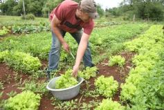 Foto de la galería: Visita a Concepción de la Sierra: la Escuela 623 ya brinda la red Starlink a sus estudiantes