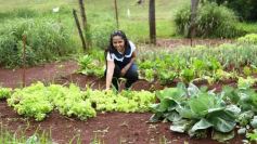 Foto de la galería: Visita a Concepción de la Sierra: la Escuela 623 ya brinda la red Starlink a sus estudiantes