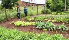 Foto de la galería: Visita a Concepción de la Sierra: la Escuela 623 ya brinda la red Starlink a sus estudiantes
