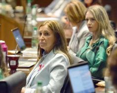 Foto de la galería: Diputados: desarrollo industrial y gestión ambiental fueron eje en leyes sancionadas