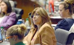 Foto de la galería: Diputados: desarrollo industrial y gestión ambiental fueron eje en leyes sancionadas