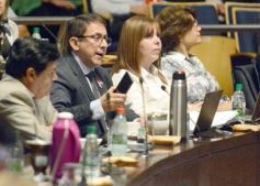 Foto de la galería: Diputados: desarrollo industrial y gestión ambiental fueron eje en leyes sancionadas