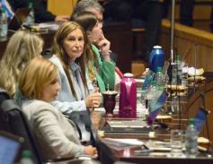 Foto de la galería: Diputados: desarrollo industrial y gestión ambiental fueron eje en leyes sancionadas