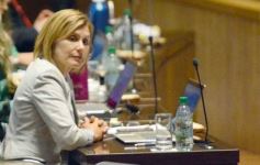 Foto de la galería: Diputados: desarrollo industrial y gestión ambiental fueron eje en leyes sancionadas