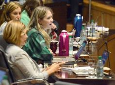 Foto de la galería: Diputados: desarrollo industrial y gestión ambiental fueron eje en leyes sancionadas