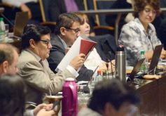Foto de la galería: Diputados: desarrollo industrial y gestión ambiental fueron eje en leyes sancionadas