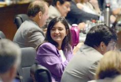 Foto de la galería: Diputados: desarrollo industrial y gestión ambiental fueron eje en leyes sancionadas