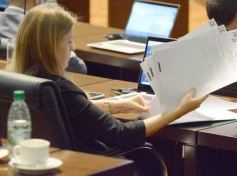 Foto de la galería: Diputados: desarrollo industrial y gestión ambiental fueron eje en leyes sancionadas