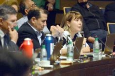 Foto de la galería: Diputados: desarrollo industrial y gestión ambiental fueron eje en leyes sancionadas