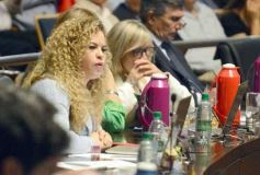 Foto de la galería: La Legislatura Provincial cumplió la última sesión del año y definió el lema para el 2025