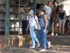 Foto de la galería: Seven de Rugby: el Club Tacurú copó el encuentro con su clásico, en otro finde de disfrute en la ciudad