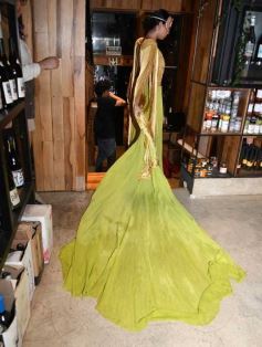 Foto de la galería: El diseñador Fabio Toñánez presentó su colección con seda misionera en Posadas