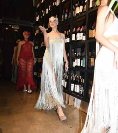 Foto de la galería: El diseñador Fabio Toñánez presentó su colección con seda misionera en Posadas