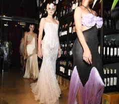 Foto de la galería: El diseñador Fabio Toñánez presentó su colección con seda misionera en Posadas