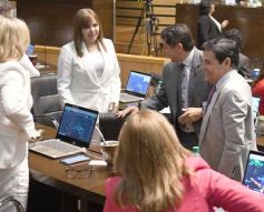 Foto de la galería: Sesión del 10 de diciembre: Herrera Ahuad reelecto al frente de la Legislatura para el 2025