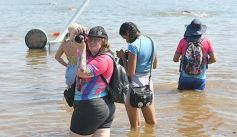 Foto de la galería: Temporada de Aguas Abiertas: la 2da fecha convocó a unos 70 atletas en Costa Sur