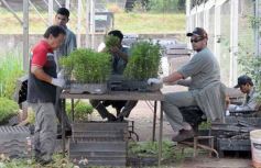 Foto de la galería: Junto a Canal 12, visita a la Biofábrica, entrevistas, recorrido por el laboratorio y producción 