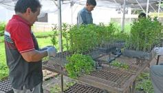 Foto de la galería: Junto a Canal 12, visita a la Biofábrica, entrevistas, recorrido por el laboratorio y producción 