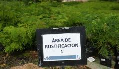 Foto de la galería: Junto a Canal 12, visita a la Biofábrica, entrevistas, recorrido por el laboratorio y producción 