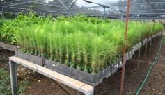 Foto de la galería: Junto a Canal 12, visita a la Biofábrica, entrevistas, recorrido por el laboratorio y producción 