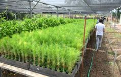 Foto de la galería: Junto a Canal 12, visita a la Biofábrica, entrevistas, recorrido por el laboratorio y producción 