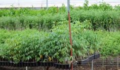 Foto de la galería: Junto a Canal 12, visita a la Biofábrica, entrevistas, recorrido por el laboratorio y producción 