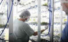 Foto de la galería: Junto a Canal 12, visita a la Biofábrica, entrevistas, recorrido por el laboratorio y producción 