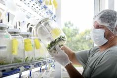 Foto de la galería: Junto a Canal 12, visita a la Biofábrica, entrevistas, recorrido por el laboratorio y producción 