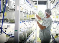 Foto de la galería: Junto a Canal 12, visita a la Biofábrica, entrevistas, recorrido por el laboratorio y producción 