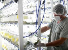 Foto de la galería: Junto a Canal 12, visita a la Biofábrica, entrevistas, recorrido por el laboratorio y producción 