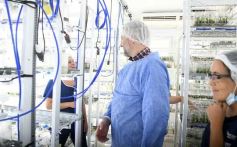 Foto de la galería: Junto a Canal 12, visita a la Biofábrica, entrevistas, recorrido por el laboratorio y producción 