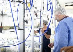 Foto de la galería: Junto a Canal 12, visita a la Biofábrica, entrevistas, recorrido por el laboratorio y producción 